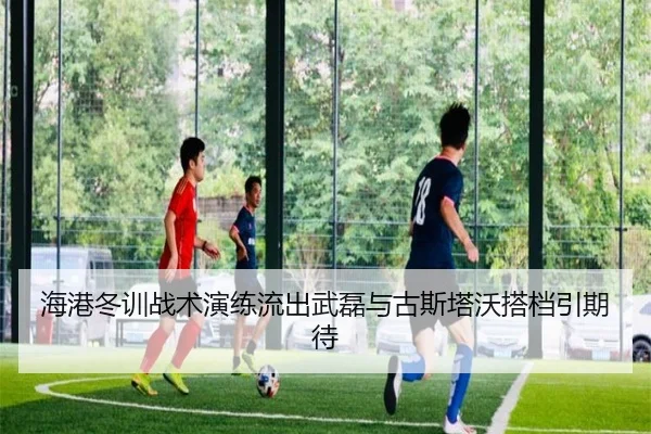海港冬训战术演练流出武磊与古斯塔沃搭档引期待 - HaoboSports